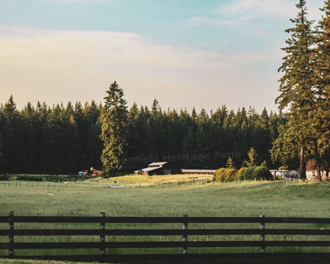 Greenfield Heritage Farm 14