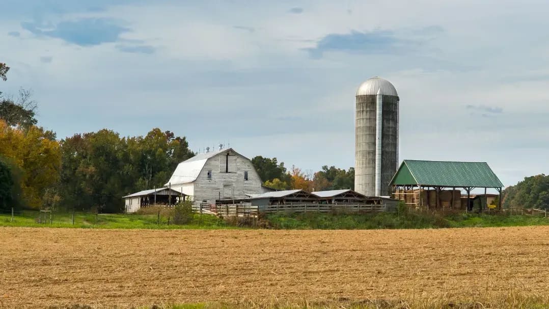 Greenfield Heritage Farm 5