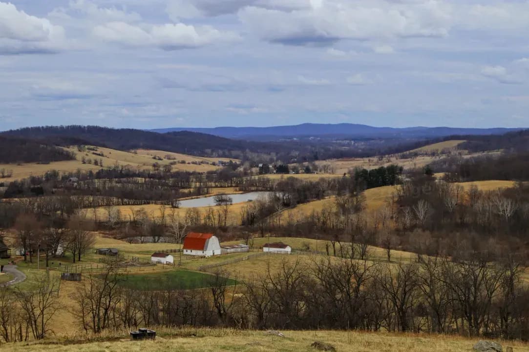 Hay and feed sales